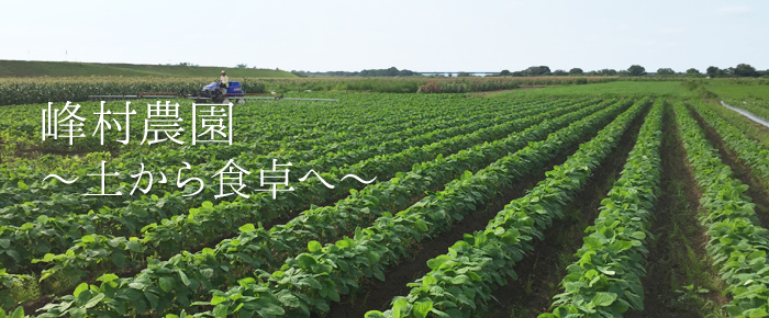 峰村農園～土から食卓へ～