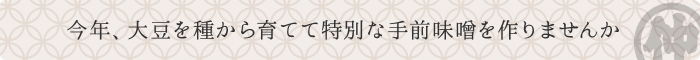 今年、大豆を種から育てて特別な手前味噌を作りませんか